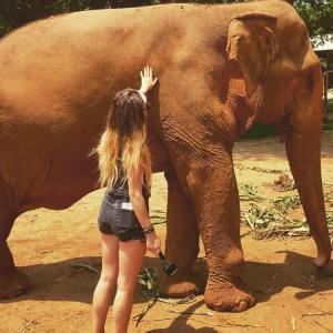 Chiang Mai, Thailand – 2017